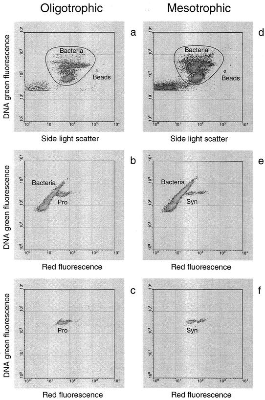 FIG. 2.