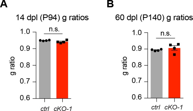 Figure 5—figure supplement 1.