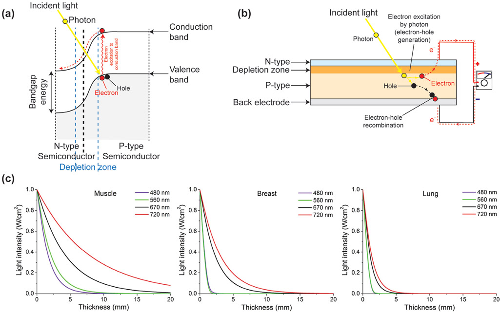 Figure 23.