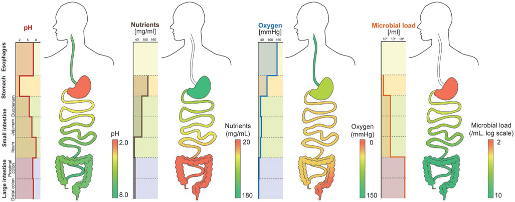 Figure 16.