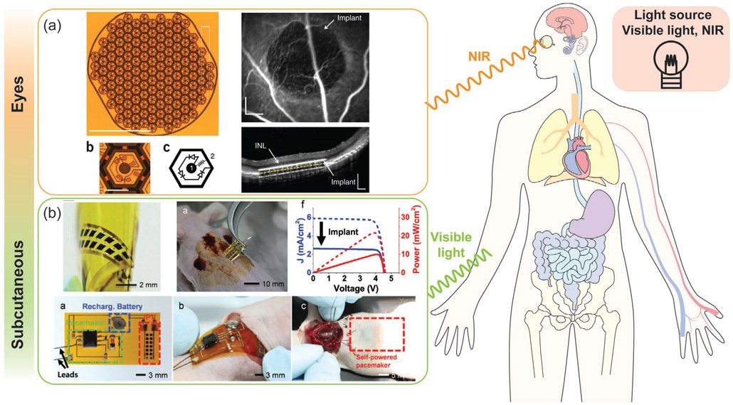 Figure 24.