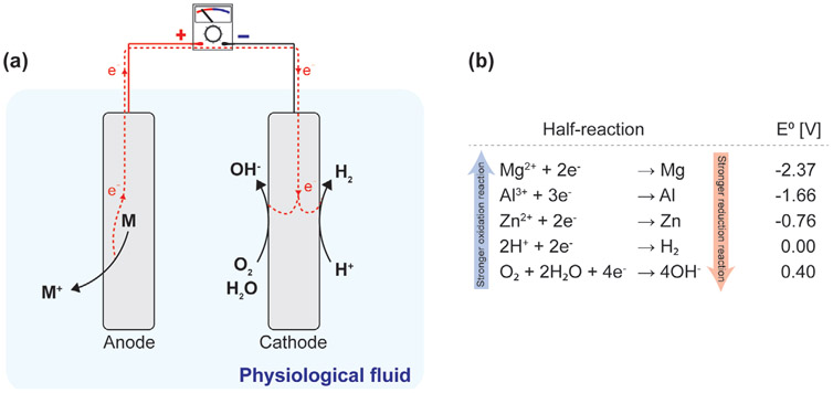 Figure 13.