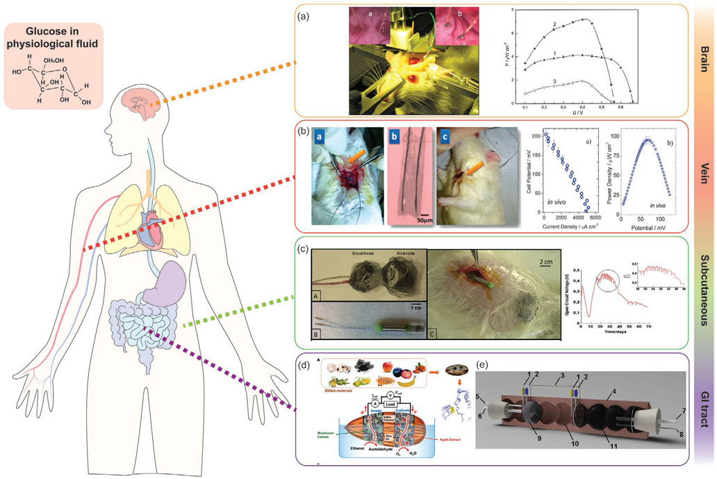 Figure 15.