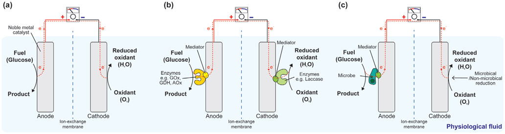 Figure 14.