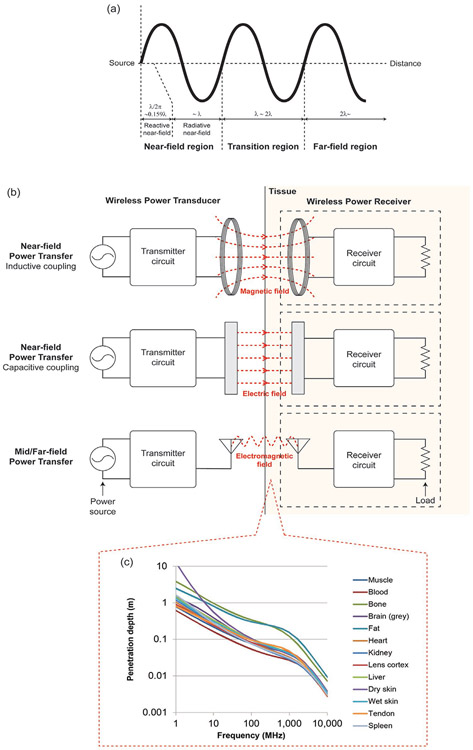 Figure 21.