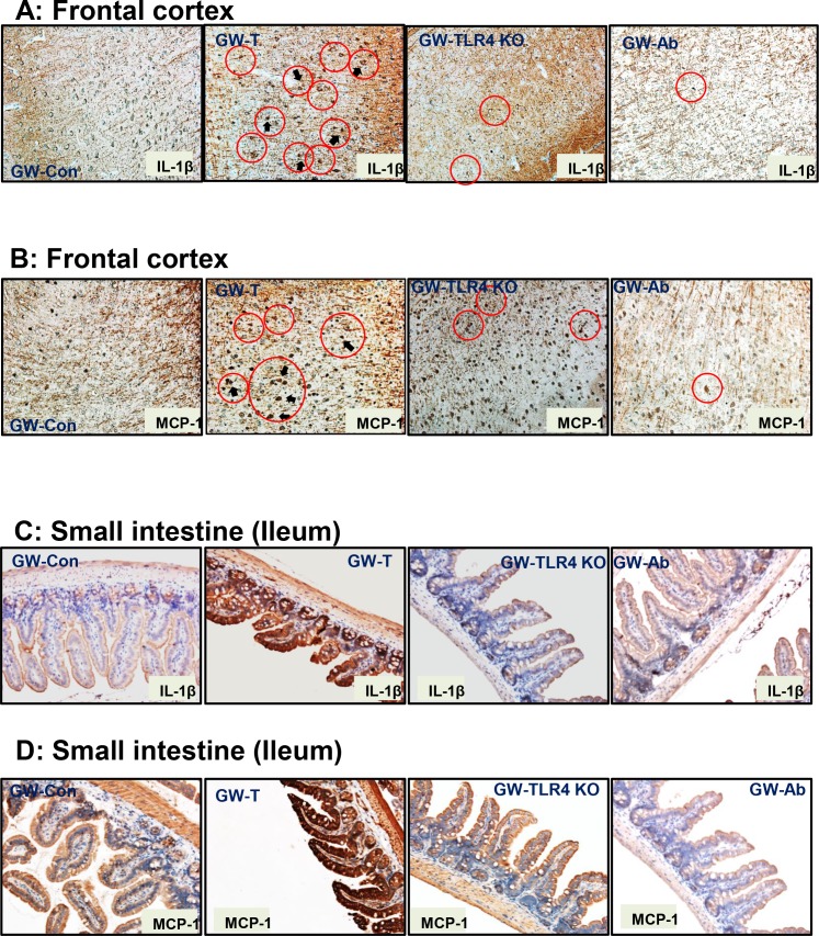 Fig 9