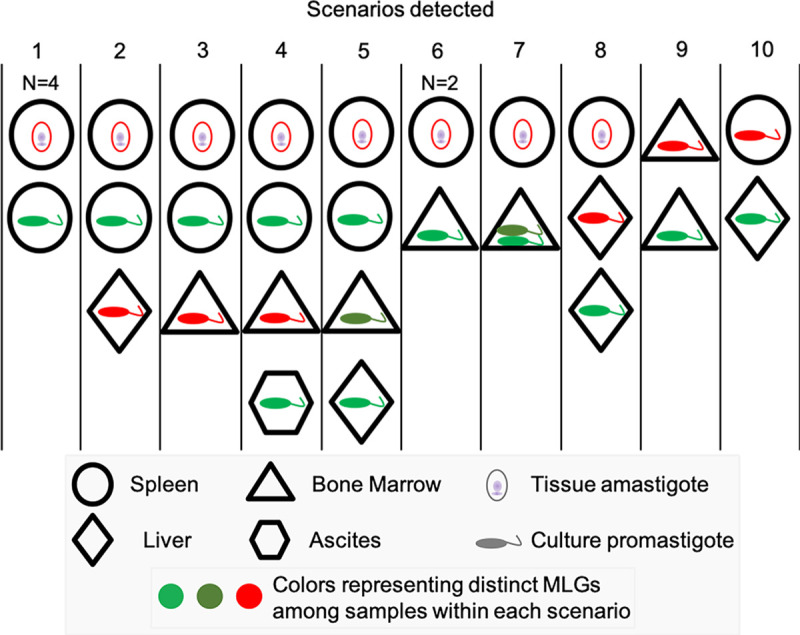 Fig 3