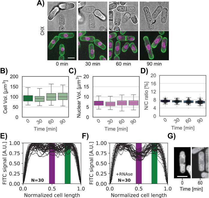 Figure 6—figure supplement 1.