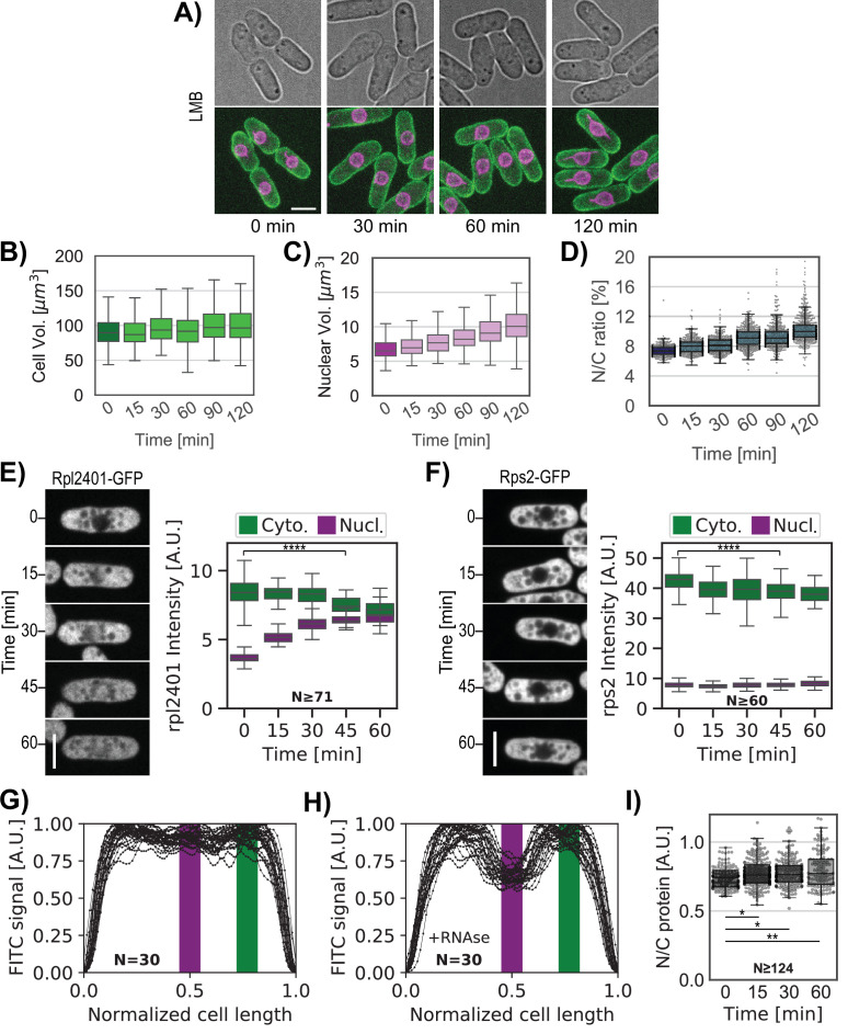 Figure 5—figure supplement 1.