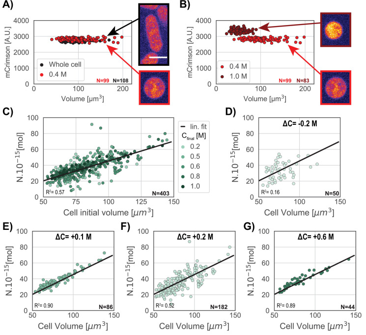 Figure 2—figure supplement 2.