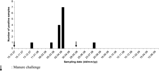 FIG. 2.