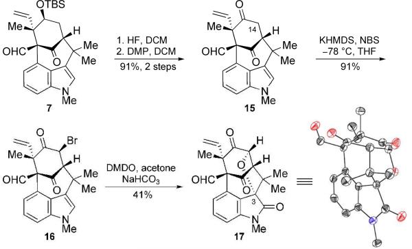 Scheme 4