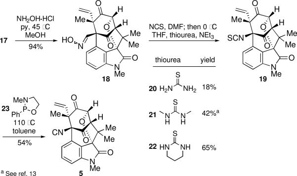 Scheme 5