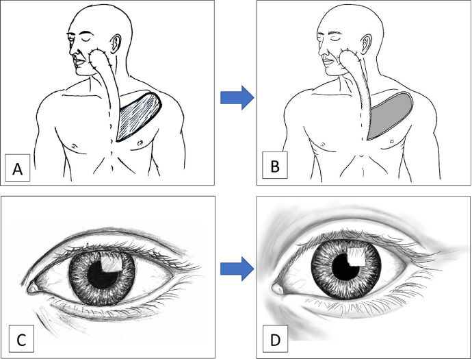 Fig. 2: