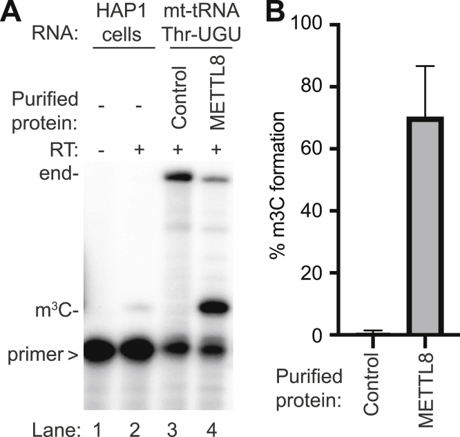 Figure 7