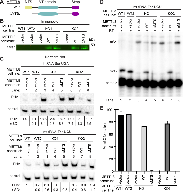 Figure 6