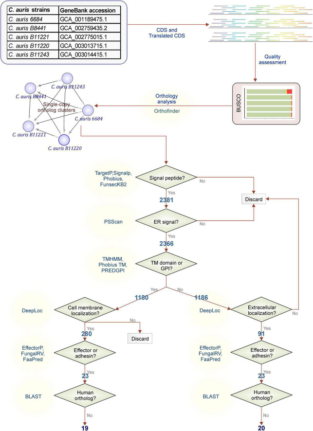 FIGURE 2