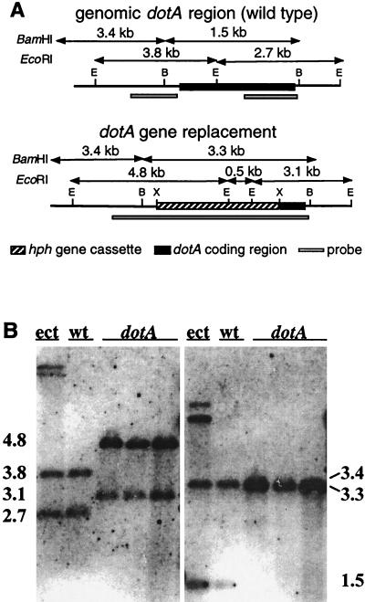 FIG. 5.