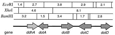 FIG. 2.