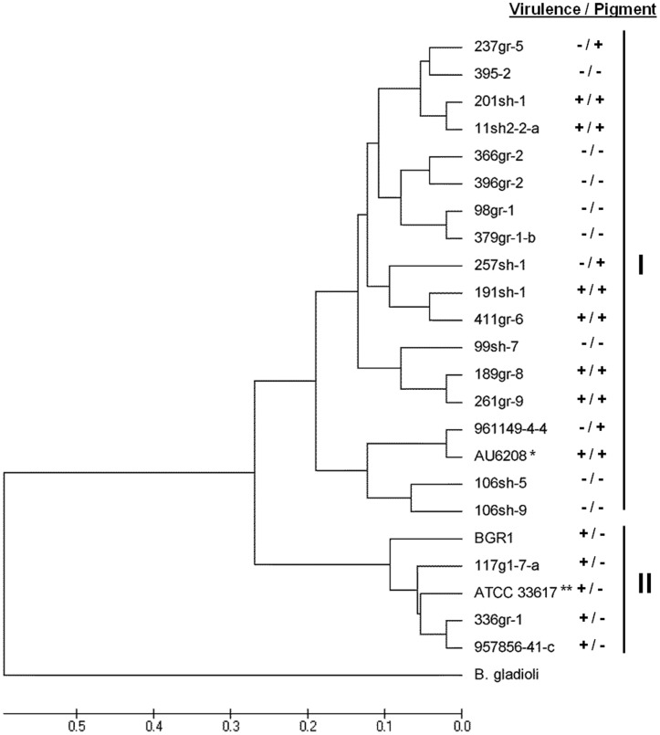 Figure 5