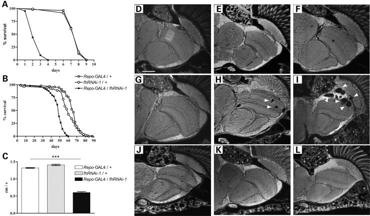 Figure 3.