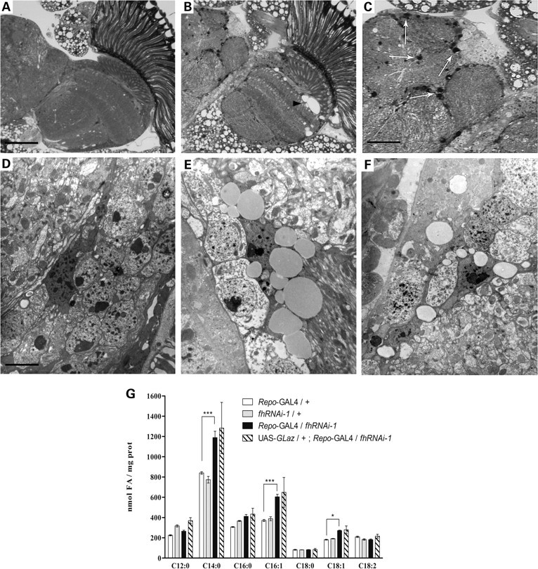 Figure 1.