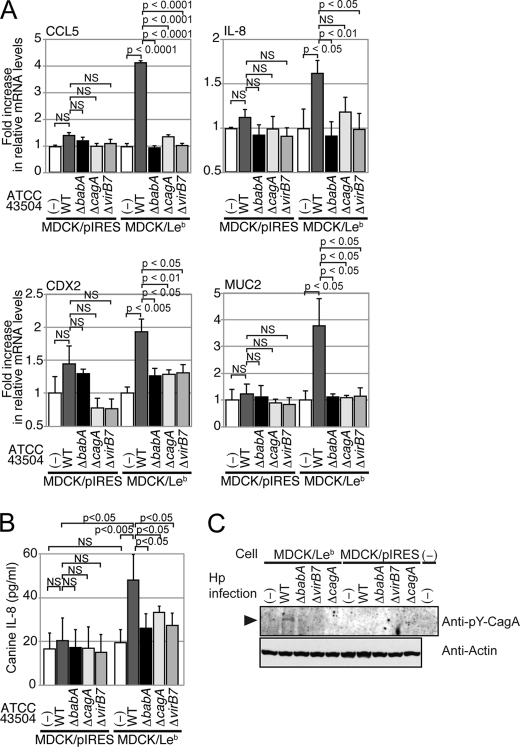 FIGURE 4.