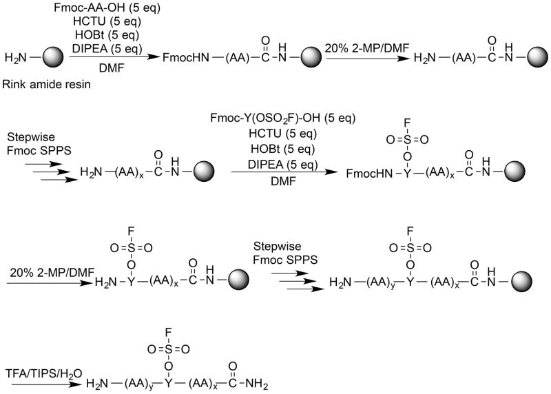 Scheme 2