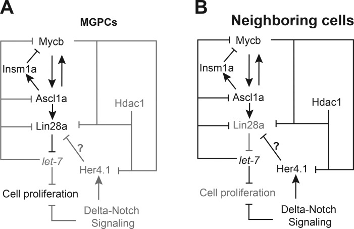 Figure 9.