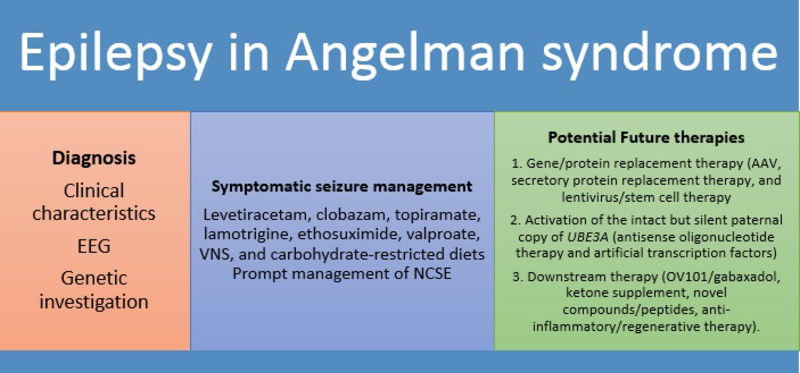 Fig 3.