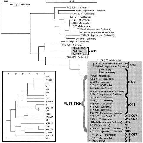 FIG. 1.