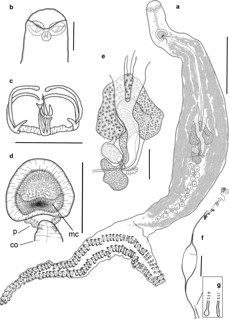 Fig. 4