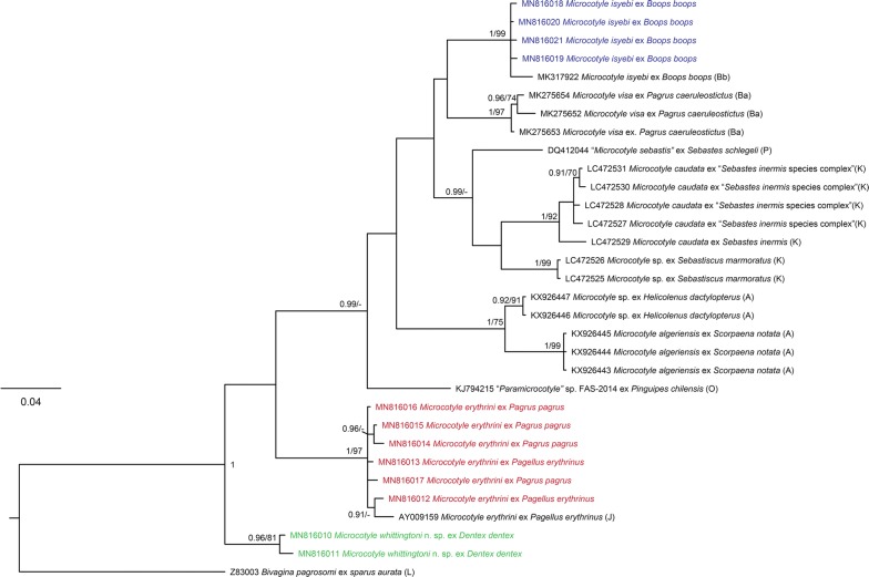 Fig. 2