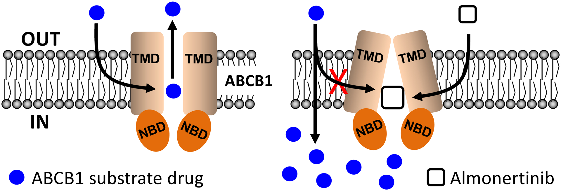 Fig. 7.