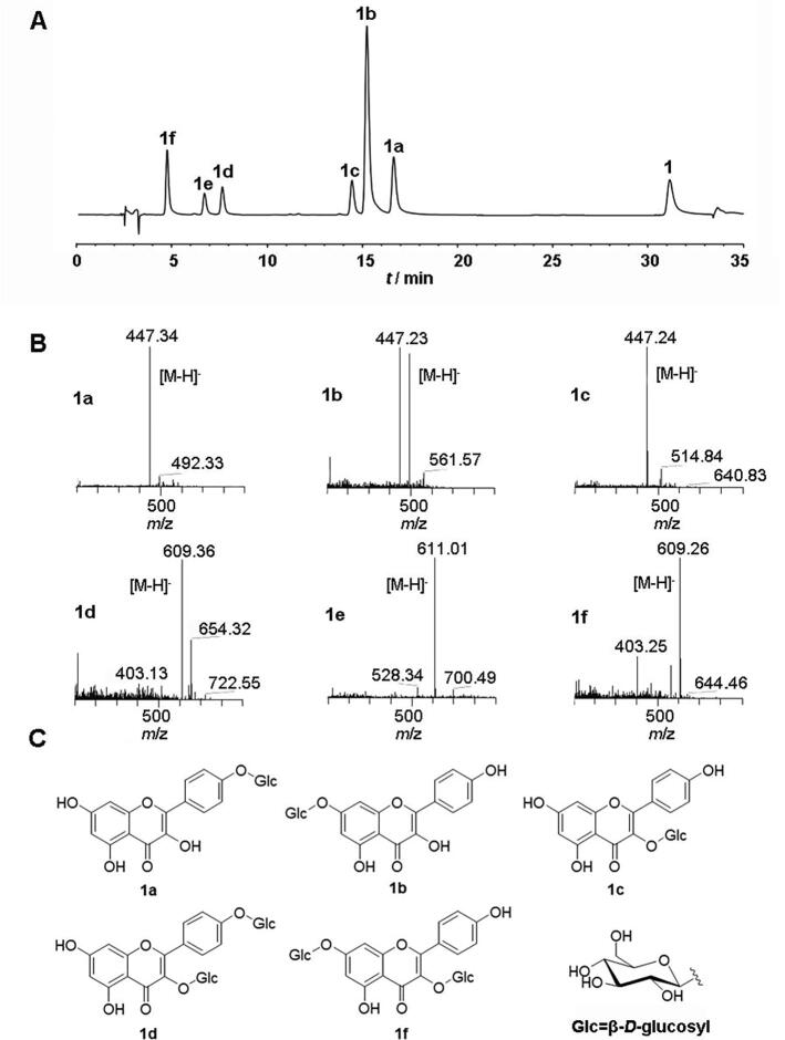 Fig. 4