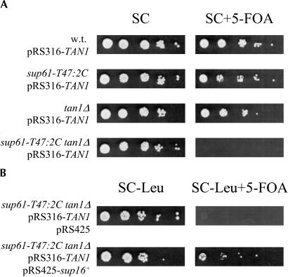 FIGURE 2.