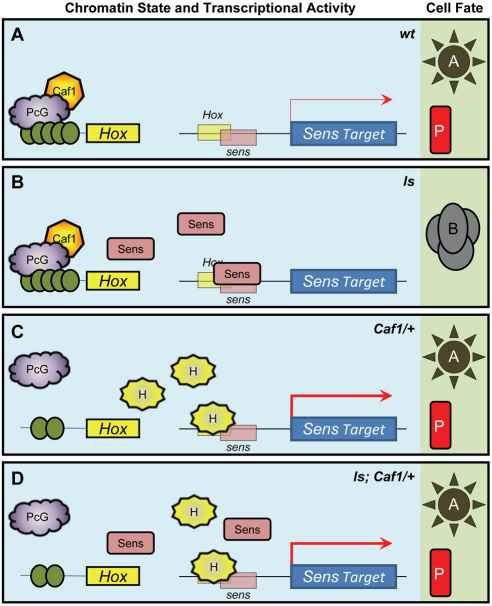 Fig. 7.