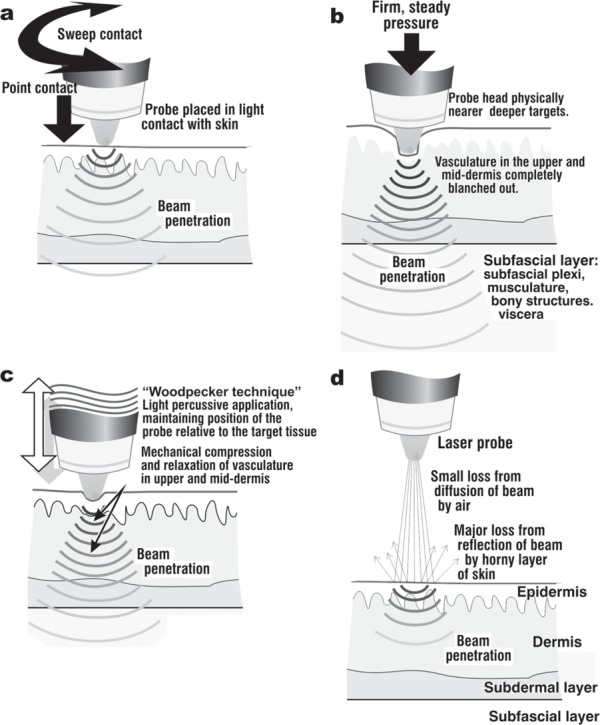 Fig 7: