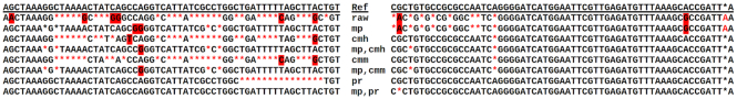 Figure 7.