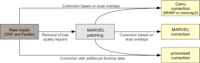 Figure 6.