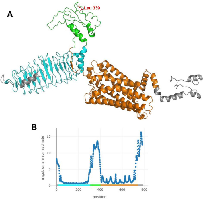 Figure 5
