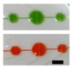 graphic file with name nihpp-rs3750595v1-t0007.jpg