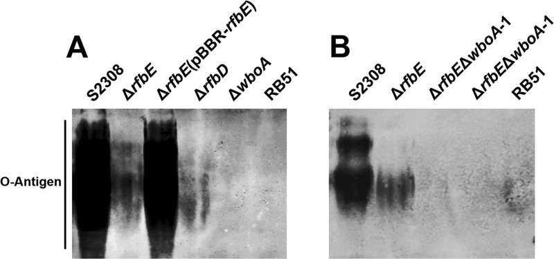 FIG 3