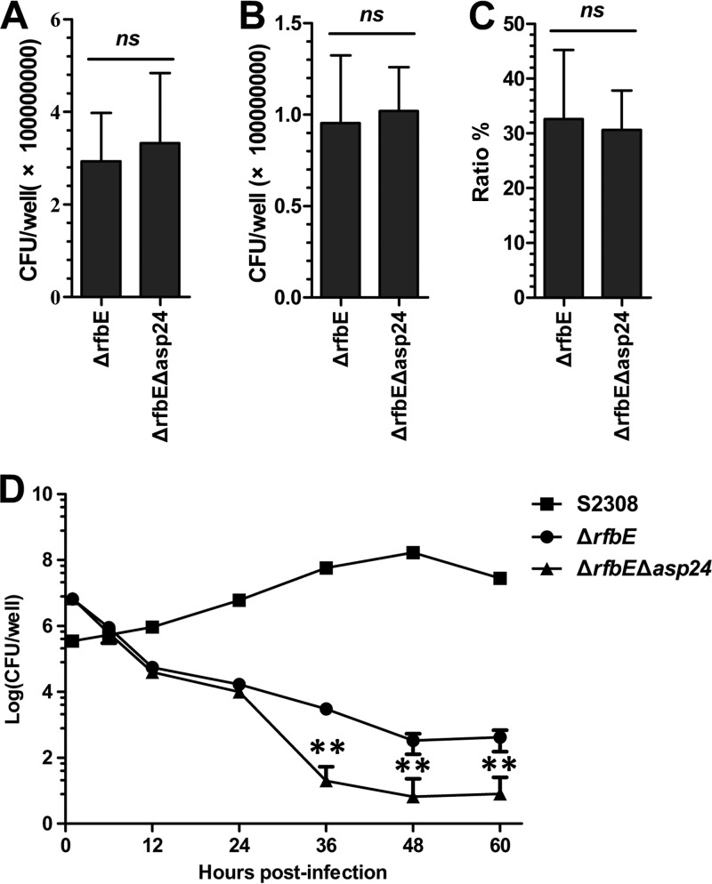 FIG 6