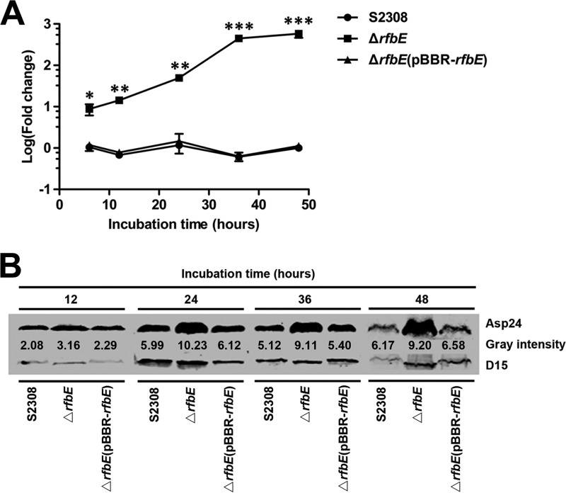 FIG 1