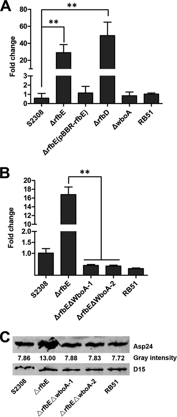 FIG 2