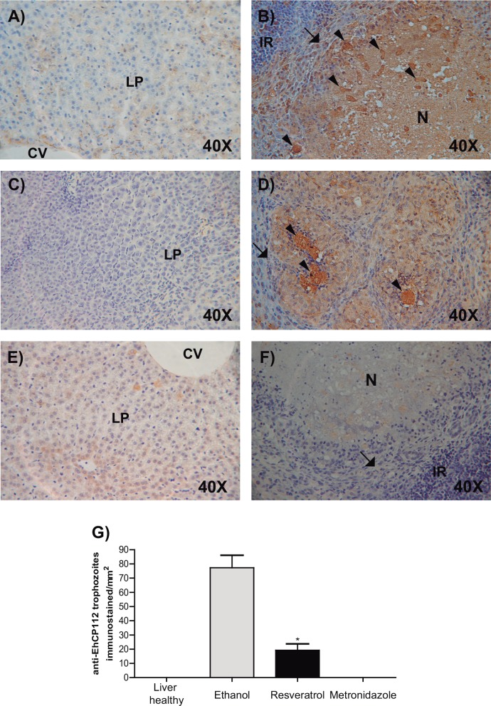 Fig 12