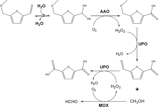 Fig. 4