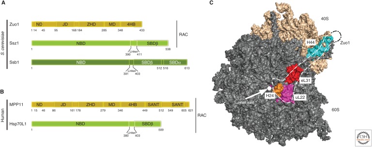 Figure 5.