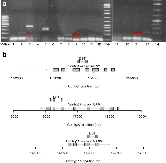 Fig. 4